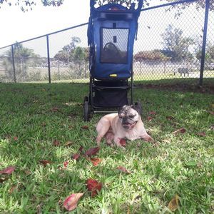 Meet your Posher, Lisa